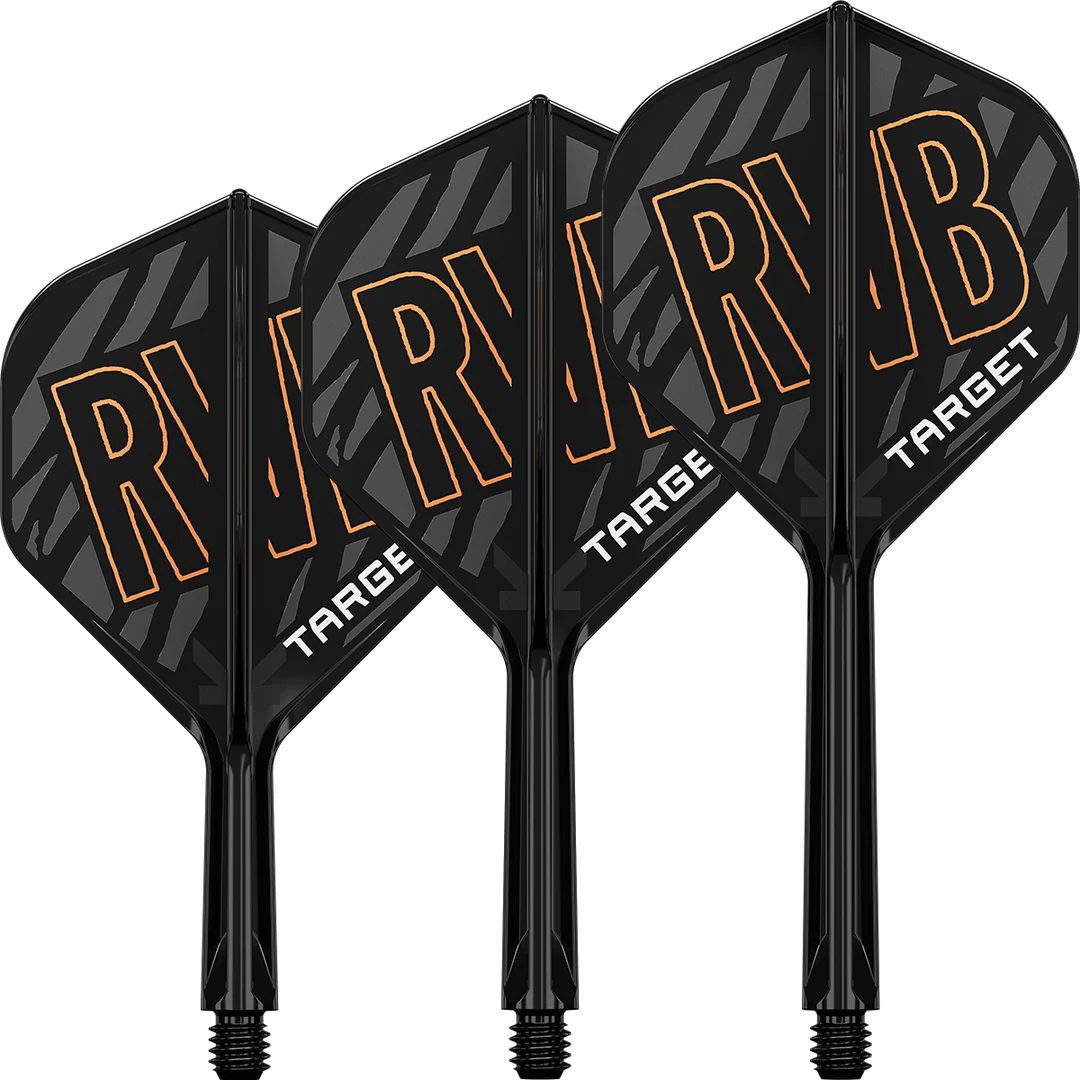Target K-Flex Raymond van Barneveld NO2 Dart Flights