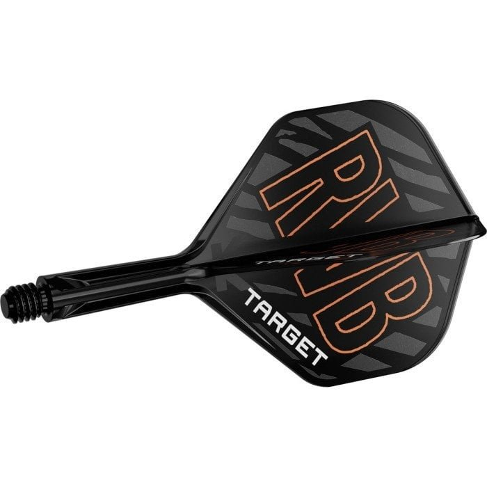 Target K-Flex Raymond van Barneveld NO2 Dart Flights