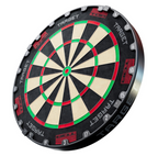 Target TOR Professional Dartboard